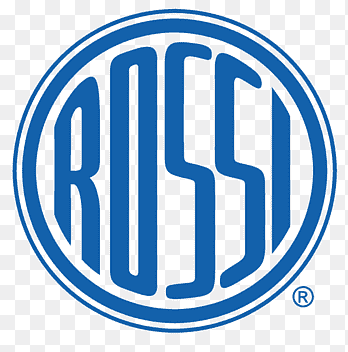 Logotipo da instituição Amadeo Rossi